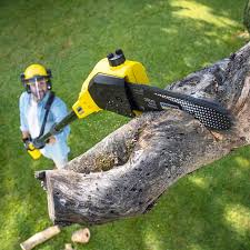  Allentown, NJ Tree Removal and Landscaping Services Pros